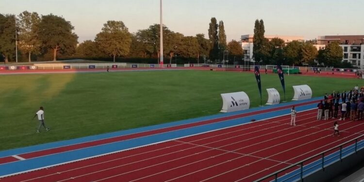 idverde voit la vie en vert