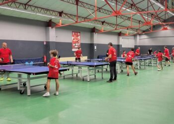 Tennis de table : Week-end spécial pour l’Alliance Nîmes-Montpellier