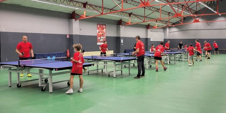 Tennis de table : Week-end spécial pour l’Alliance Nîmes-Montpellier