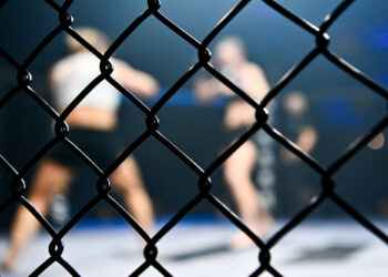 MMA : Grande première réussie en Essonne