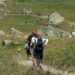 Trail : La Trans Aubrac pour faire vibrer l’Aveyron