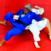 Judo : Les héros de Tokyo de retour à Paris