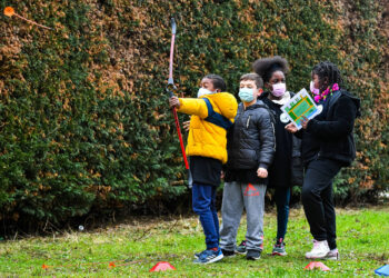 « Village en sport » anime les vacances dans le Nord