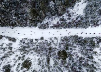 Ski de fond : La Transju’ revient les 12 et 13 février