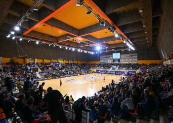 Handball : Angers SCO entame son sauvetage