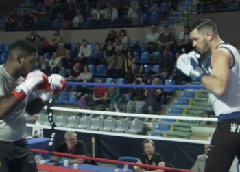 Savate : Romain Falendry costaud chez les lourds