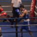 Boxe : Lounès Hamraoui empoche la victoire