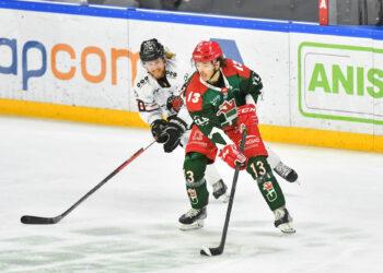 Hockey sur glace : Cergy-Pontoise accède aux play-offs de Ligue Magnus