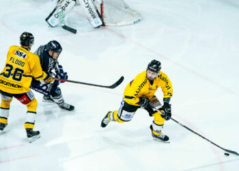 Hockey sur glace : Angers et Rouen se défient