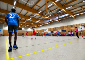 Handball : Un début d’Interpôles relevé à Nantes