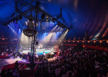 Boxe : Affiche de choix pour David Papot