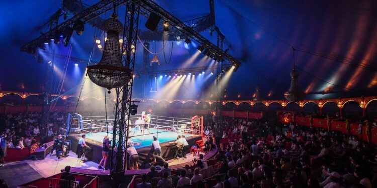 Boxe : Affiche de choix pour David Papot