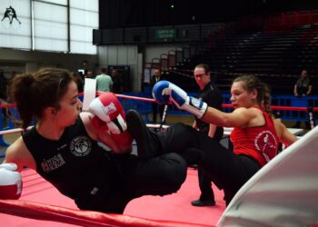 Savate : La Halle Carpentier a vibré pour l’Assaut