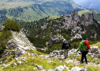 Natur’Est dans les starting-blocks