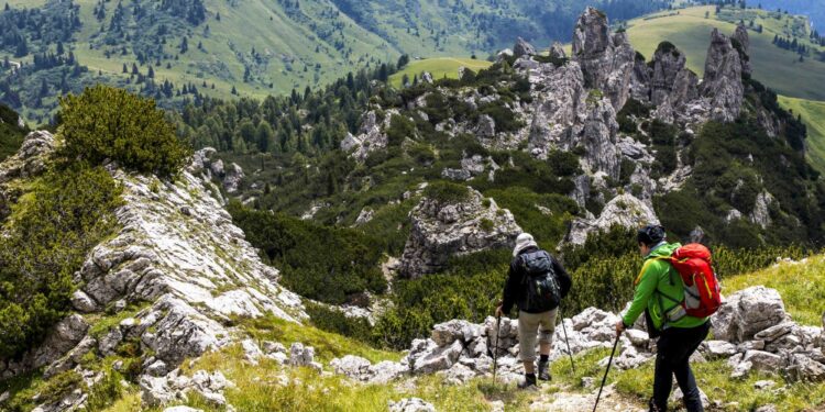 Natur’Est dans les starting-blocks