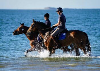 L’équitation au galop en région Sud