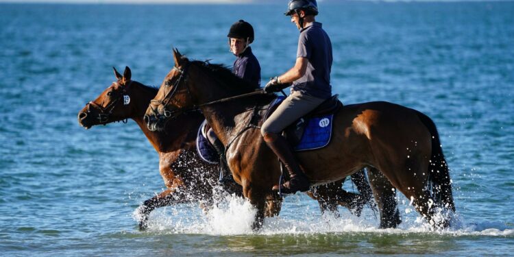 L’équitation au galop en région Sud