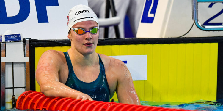 Natation : Belle moisson pour le CN Marseille à Limoges