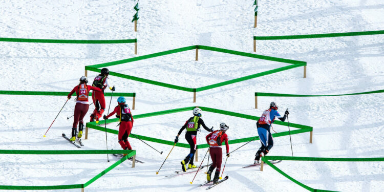 Ski-alpinisme : Les Français au sommet de la discipline