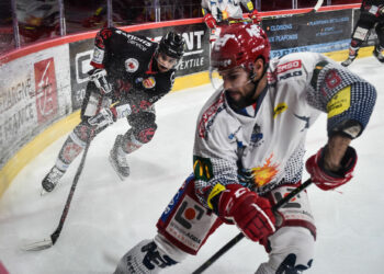 Hockey sur glace : Angers et Grenoble se disputent le titre