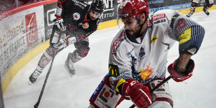 Hockey sur glace : Angers et Grenoble se disputent le titre