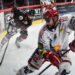 Hockey sur glace : Angers et Grenoble se disputent le titre