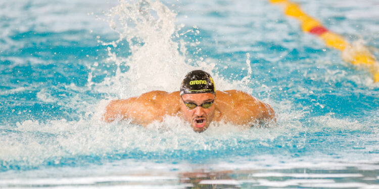 Natation : Rendez-vous à Limoges pour l’élite tricolore