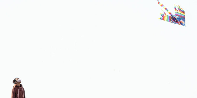 Les Rencontres Internationales de Cerfs-Volants à Berck-sur-Mer