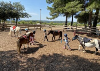 Le bien-être grâce au cheval avec Iso Faculté