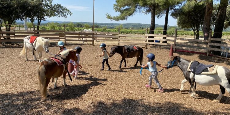 Le bien-être grâce au cheval avec Iso Faculté