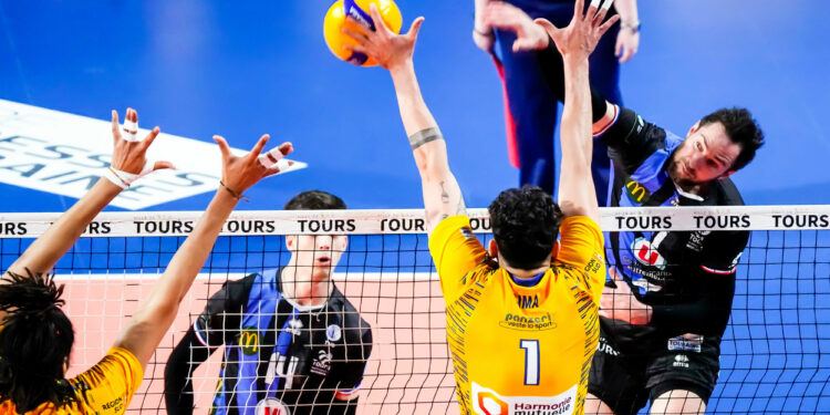 Volley : Tours veut retrouver sa couronne