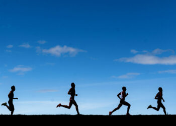 Triathlon : Direction le Salagou ce week-end