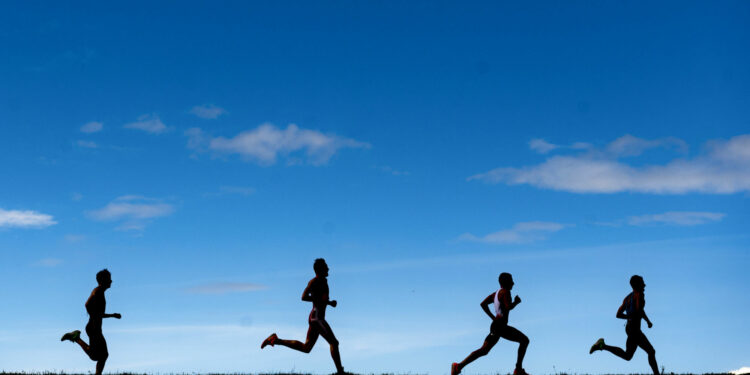 Triathlon : Direction le Salagou ce week-end