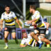 Rugby : Objectif top 6 pour La Rochelle
