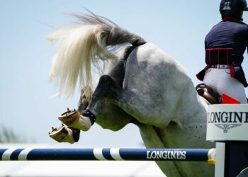 Équitation : Le Jumping de Sever fait son retour