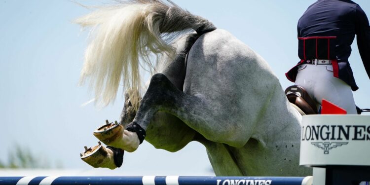 Équitation : Le Jumping de Sever fait son retour