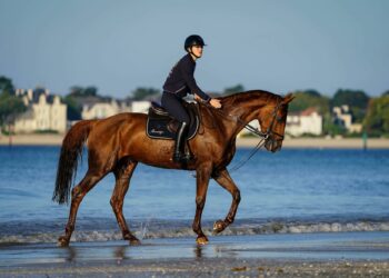 Équitation : Grande première pour la Journée de la randonnée équestre