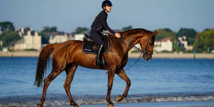 Équitation : Grande première pour la Journée de la randonnée équestre