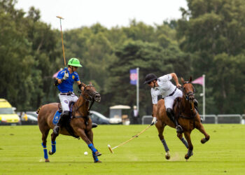 Polo : Objectif Coupe du monde pour les Bleus