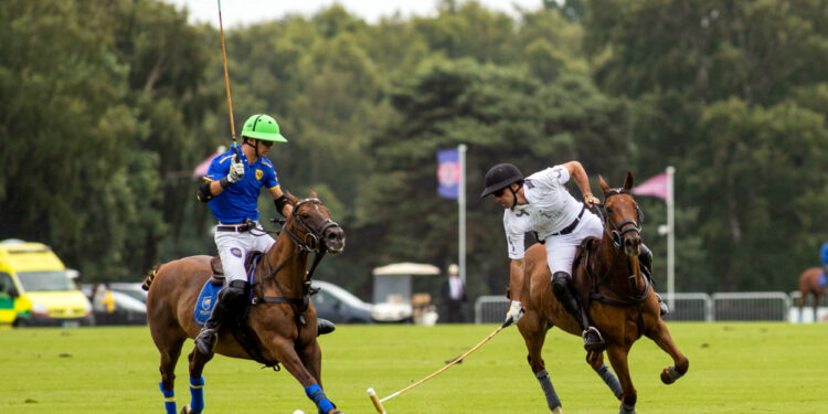 Polo : Objectif Coupe du monde pour les Bleus
