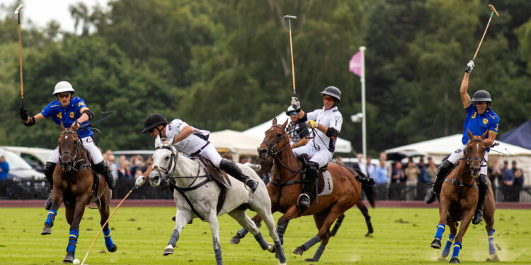 Polo : La France n’ira pas aux Mondiaux
