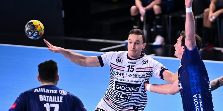 Handball : Un très gros morceau pour Cesson-Rennes