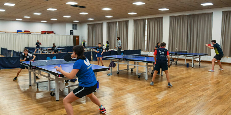 Para Tennis de table : La relève tricolore en Moselle