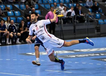 Handball : Deux nominés de Limoges pour les Trophées LNH