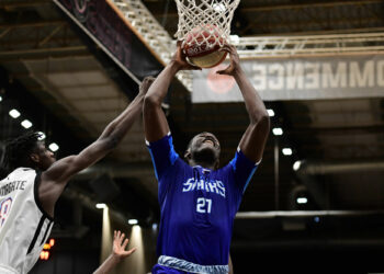 Basket : Play-offs validés pour les Sharks d’Antibes