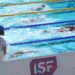 Gymnasiade : L’équipe de France de natation bien lancée