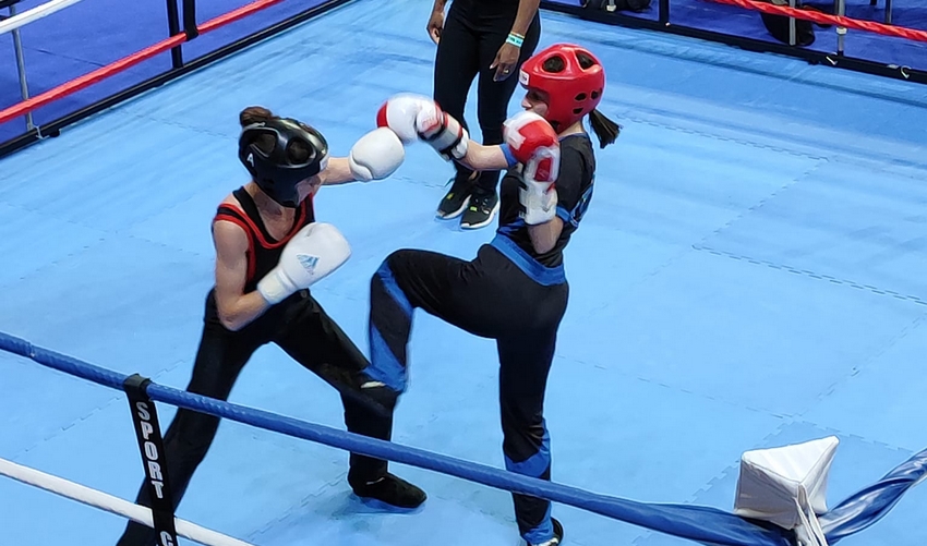 Savate boxe française : un grand tournoi, samedi, à Clermont-Ferrand -  Clermont-Ferrand (63000)