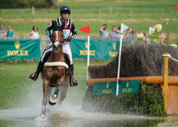 Équitation : Les Trophées Équivendée n’ont pas déçu