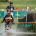 Équitation : Les Trophées Équivendée n’ont pas déçu