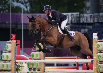 Équitation : Un concours complet international en Vendée